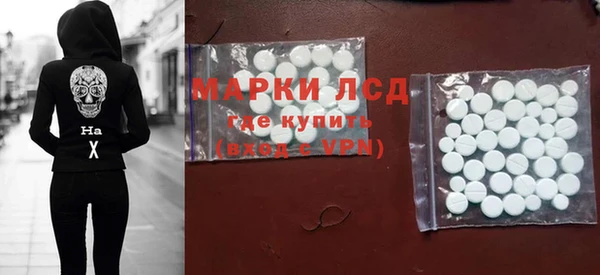 прущие грибы Алзамай