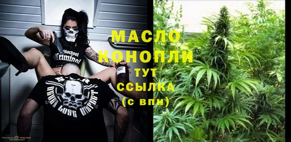 гидра Абаза