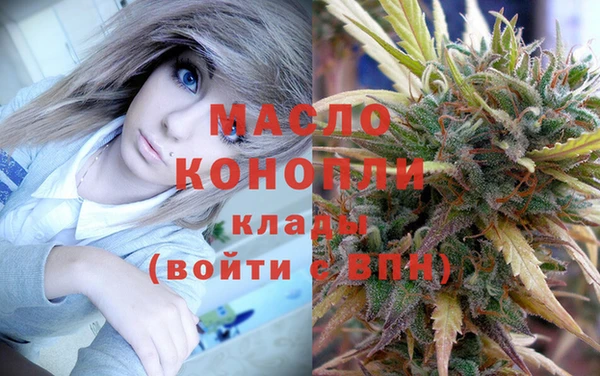гидра Абаза