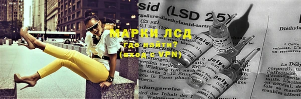 гидра Абаза