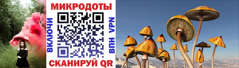 даркнет сайт  Азов  Галлюциногенные грибы Psilocybine cubensis 